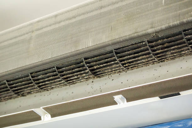Best Local Air Duct Cleaning Services  in Nephi, UT