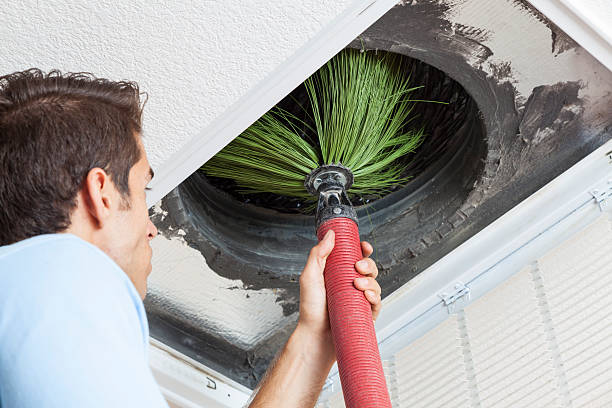 Air Duct Mold Removal in Nephi, UT